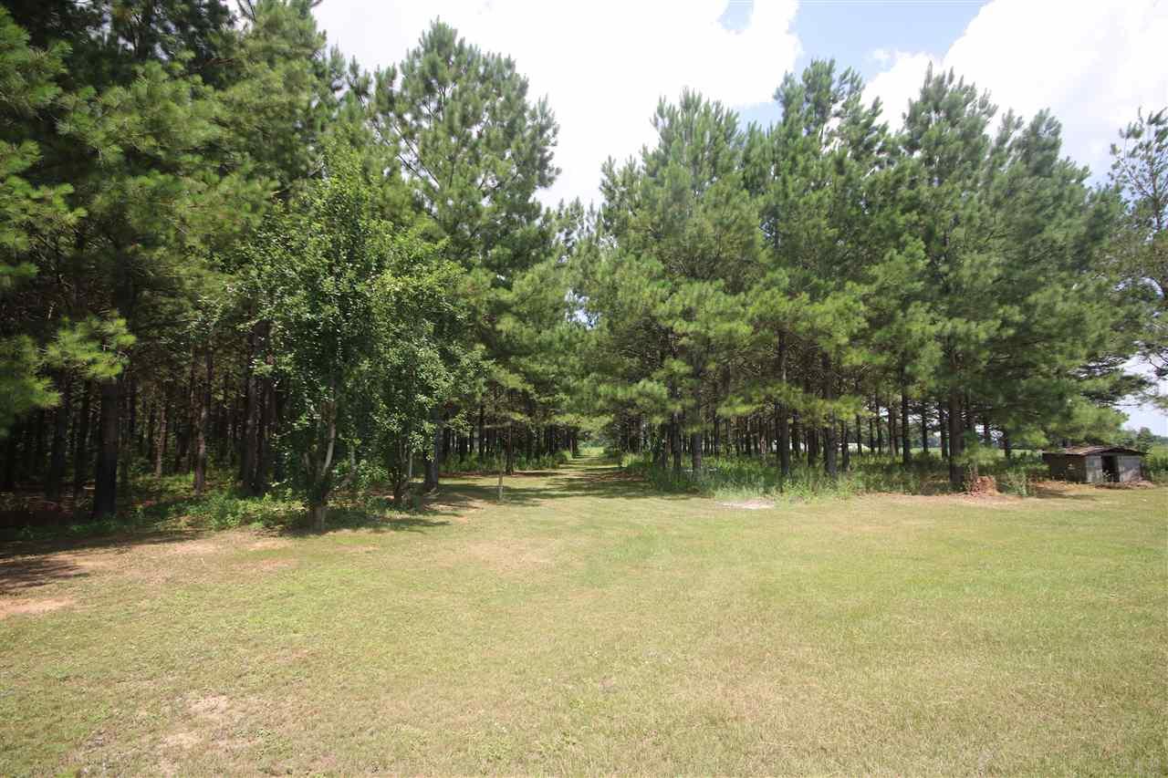 4070 Range Road Jay, FL 32565 - Photo 7 of 40