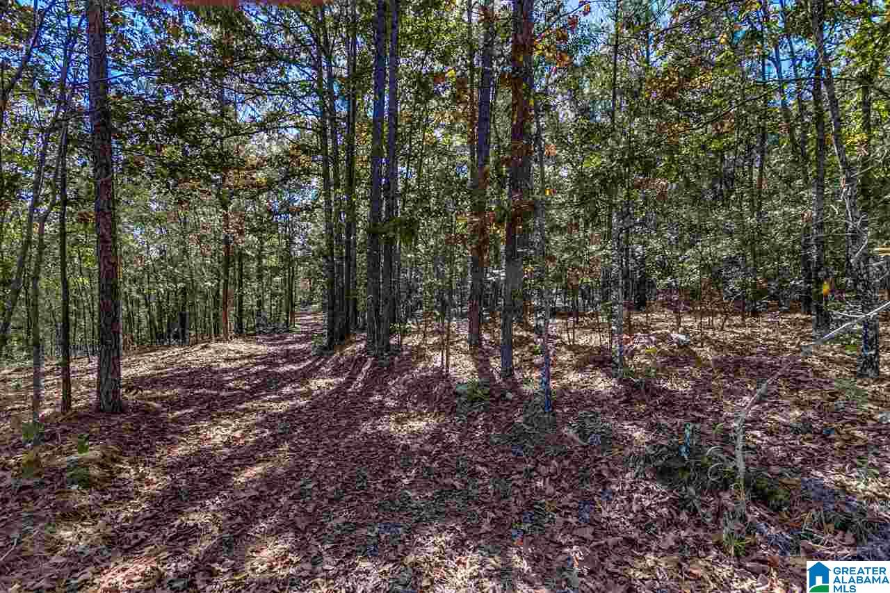 384 Wolf Pond Road, Unit 1 Talladega, AL 35160 - Photo 17 of 26
