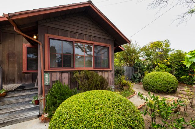 a view of a backyard with plants and flowers