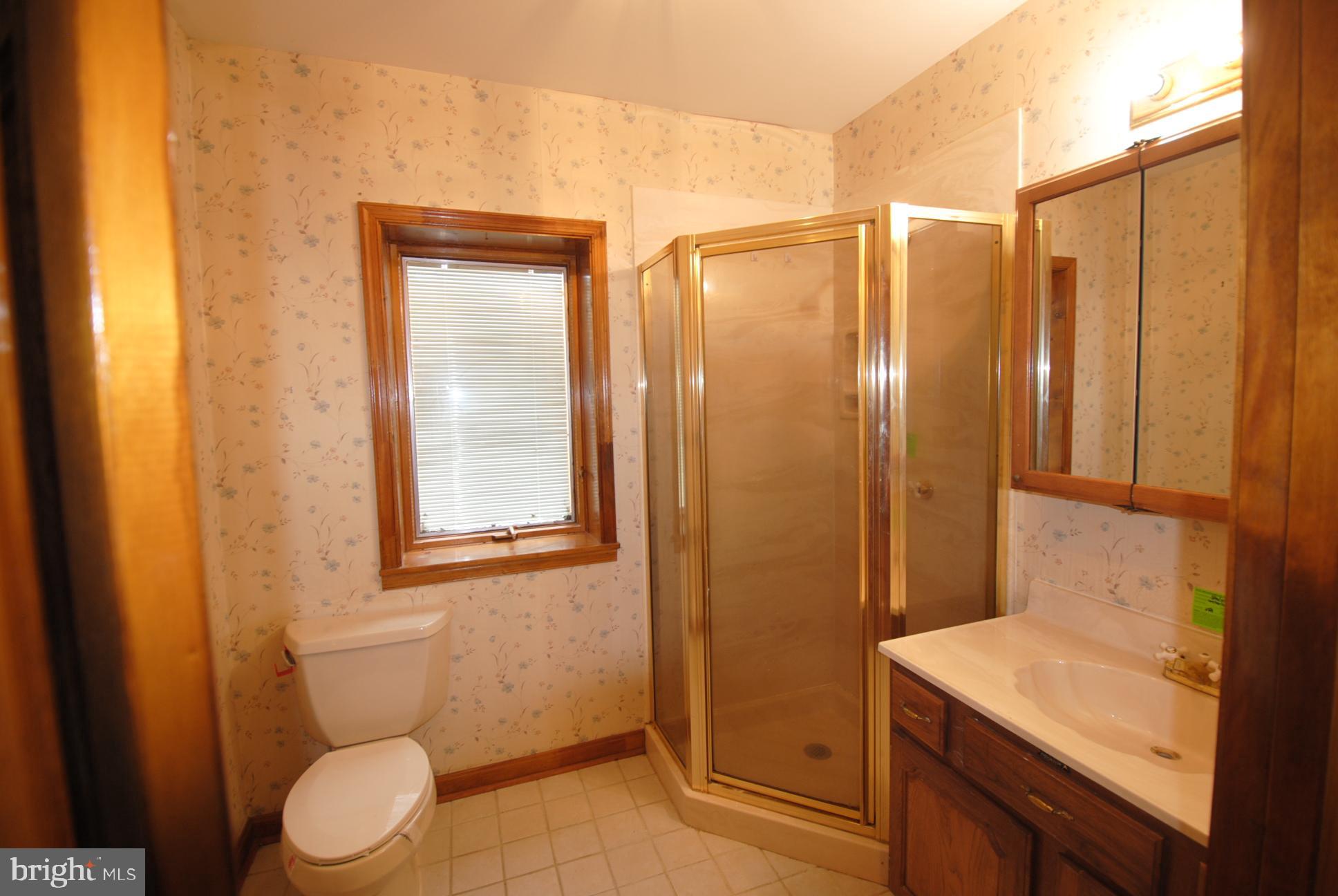 2456 Hunting Ridge Road Winchester, VA 22603 - Photo 32 of 50 full bathroom in basement