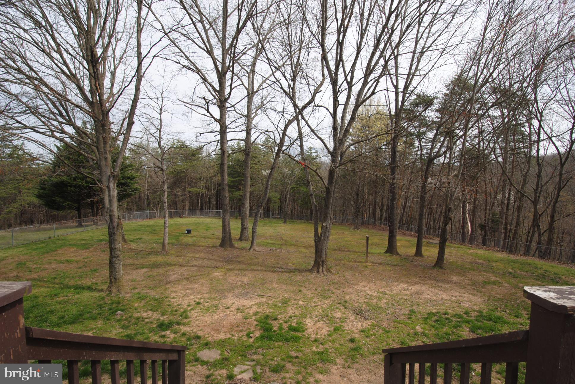 2456 Hunting Ridge Road Winchester, VA 22603 - Photo 48 of 50 fenced Backyard