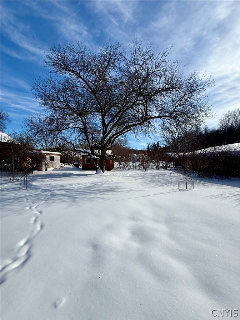 1230 Earlville Road Hamilton, NY 13332 - Photo 42 of 50