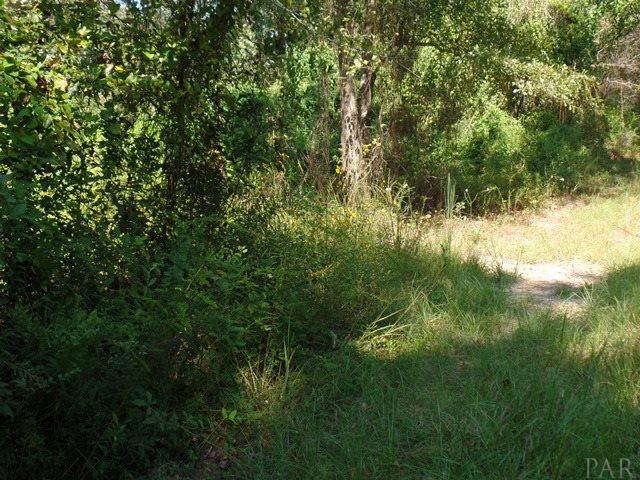 21941 Bible Road Perdido, AL 36562 - Photo 13 of 19