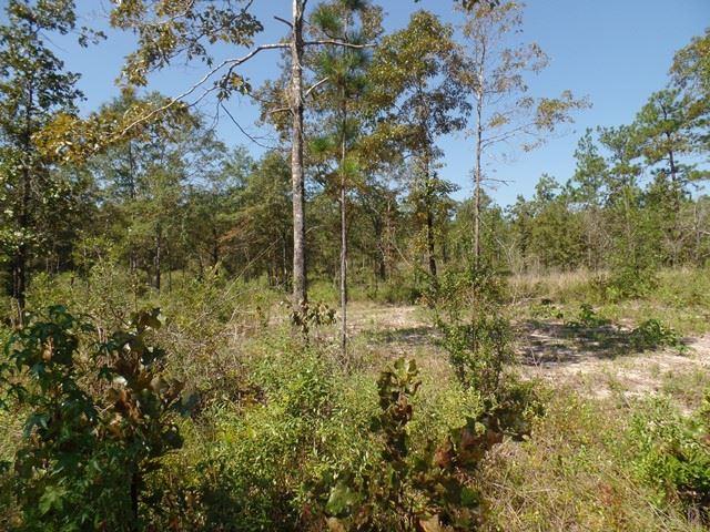 21941 Bible Road Perdido, AL 36562 - Photo 8 of 19