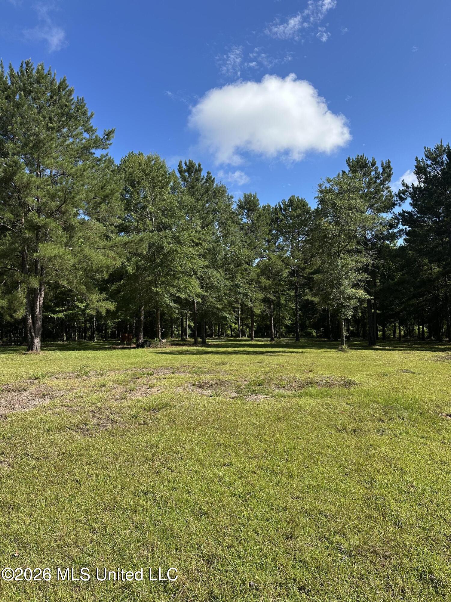 135 Joe Booth Road Taylorsville, MS 39168 - Photo 9 of 22 IMG_5275