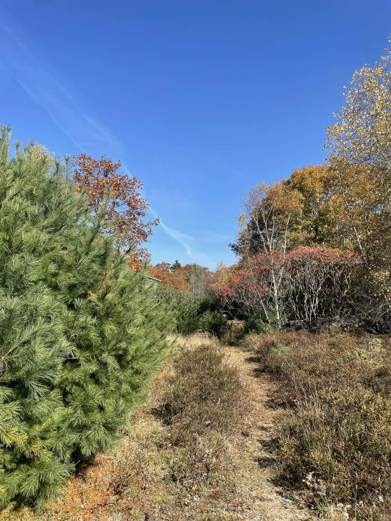 150 Post Office Road Westport Island, ME 04578 - Photo 6 of 9