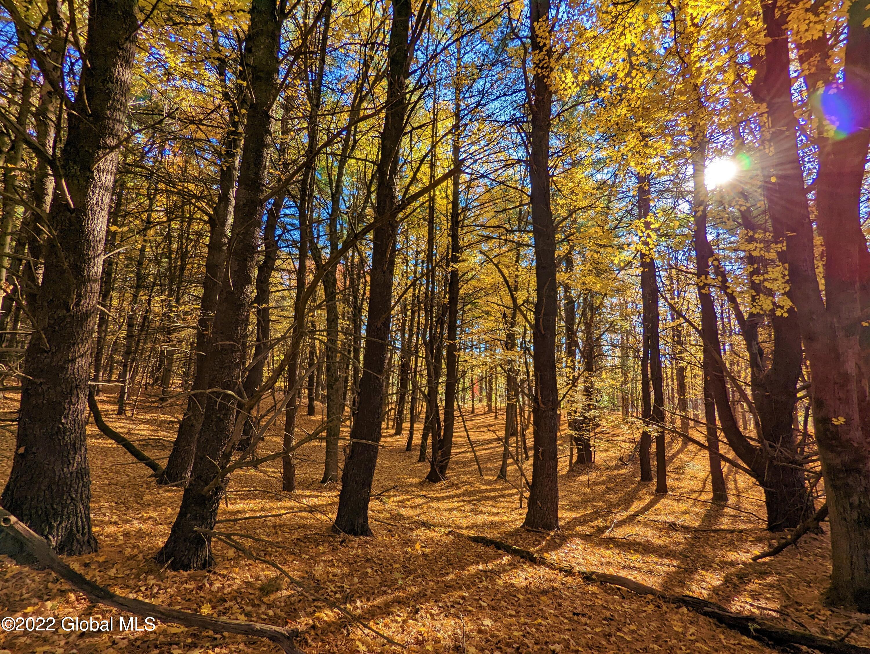 L10 Old Kings Road Hannacroix, NY 12087 - Photo 11 of 30 old kings