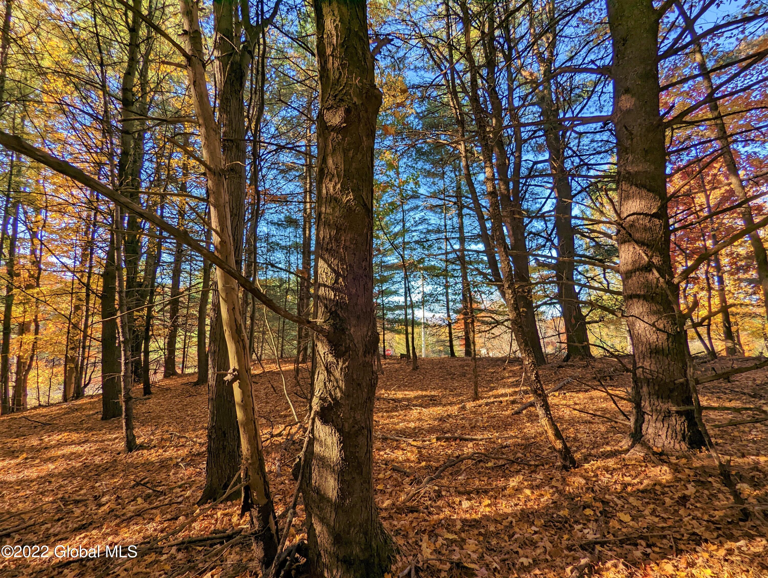 L10 Old Kings Road Hannacroix, NY 12087 - Photo 12 of 30 old kings