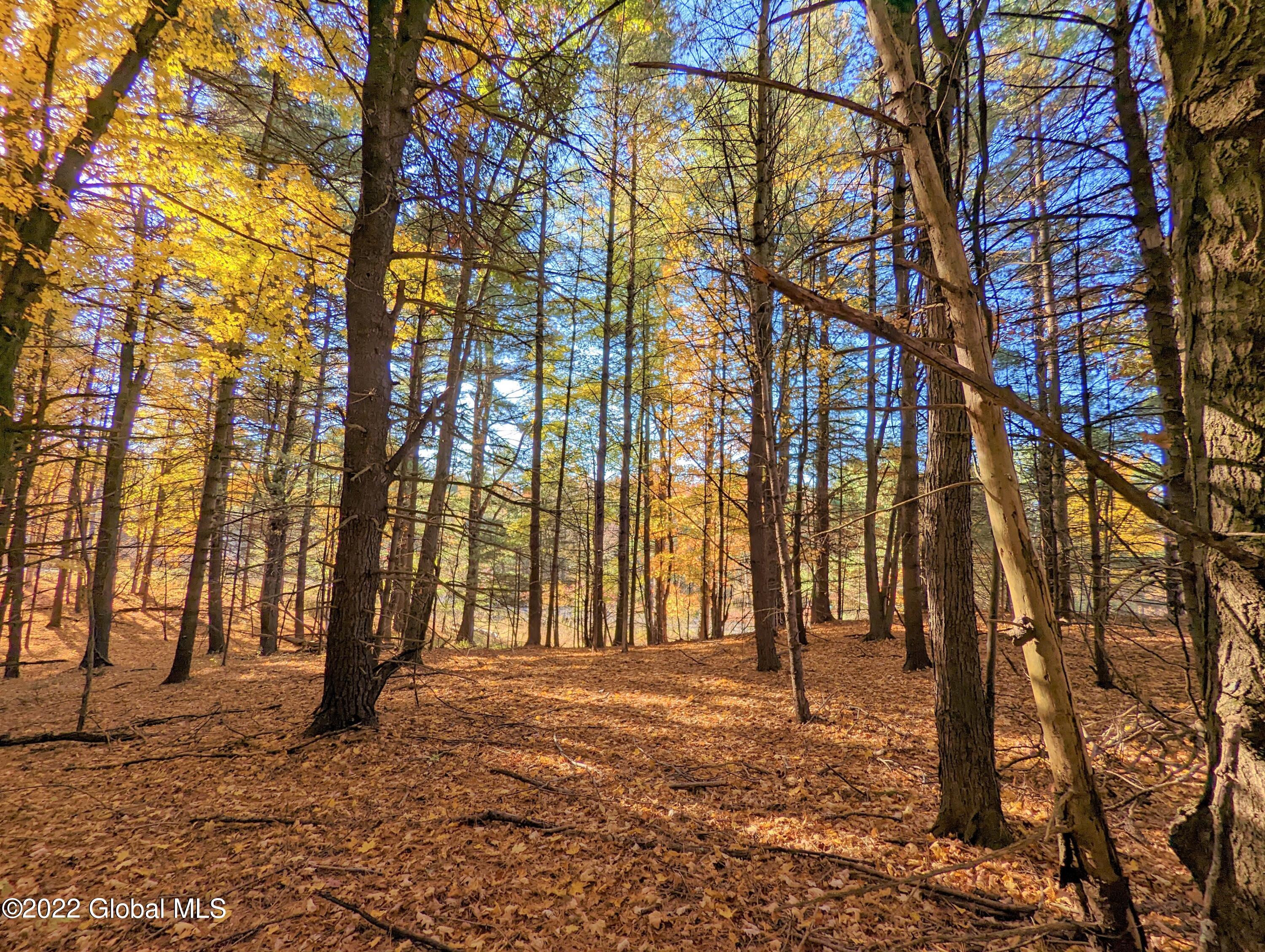 L10 Old Kings Road Hannacroix, NY 12087 - Photo 13 of 30 old kings