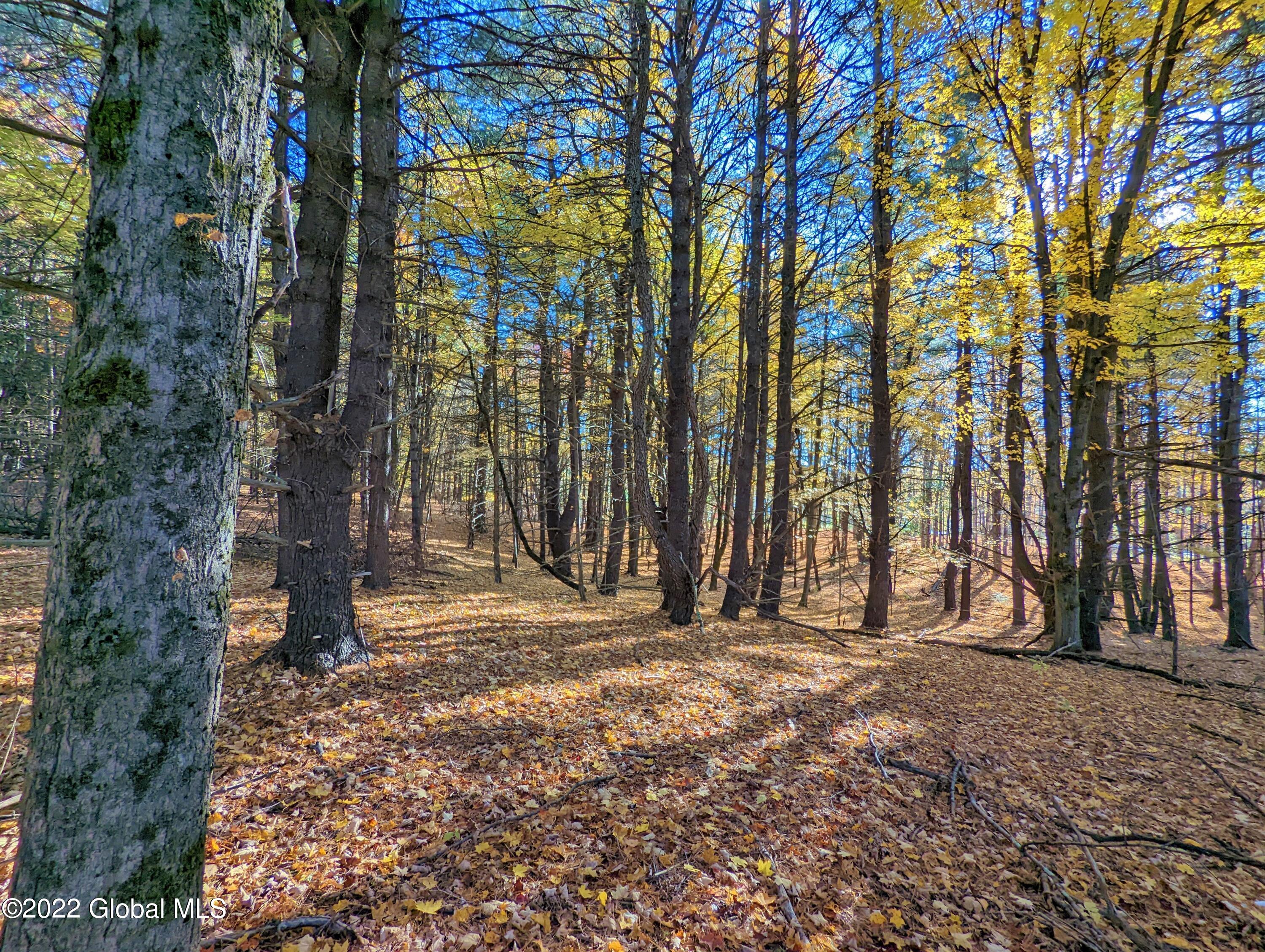 L10 Old Kings Road Hannacroix, NY 12087 - Photo 14 of 30 old kings