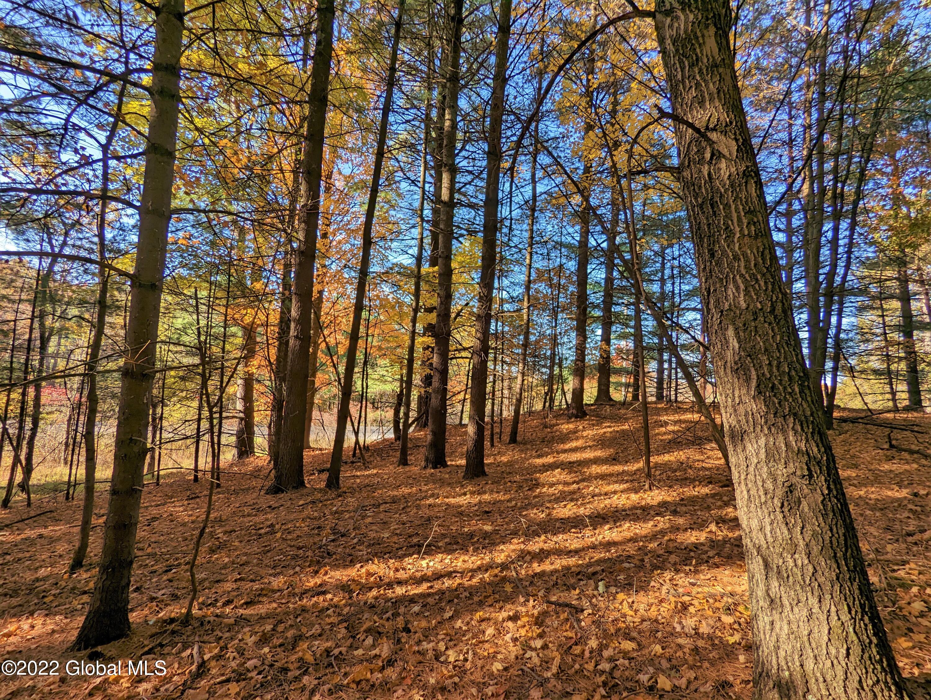 L10 Old Kings Road Hannacroix, NY 12087 - Photo 15 of 30 old kings