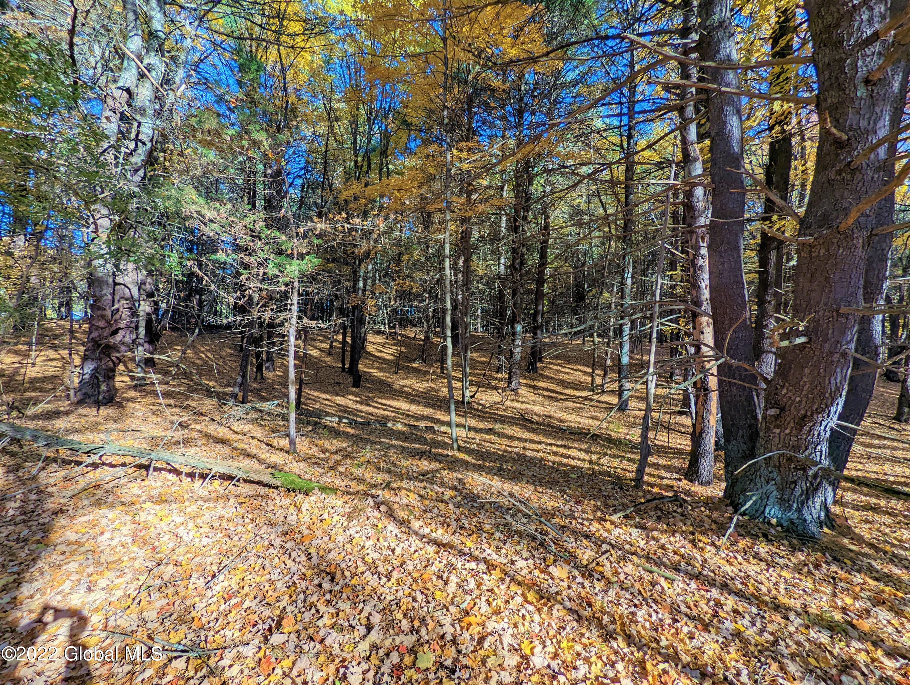 L10 Old Kings Road Hannacroix, NY 12087 - Photo 16 of 30 old kings