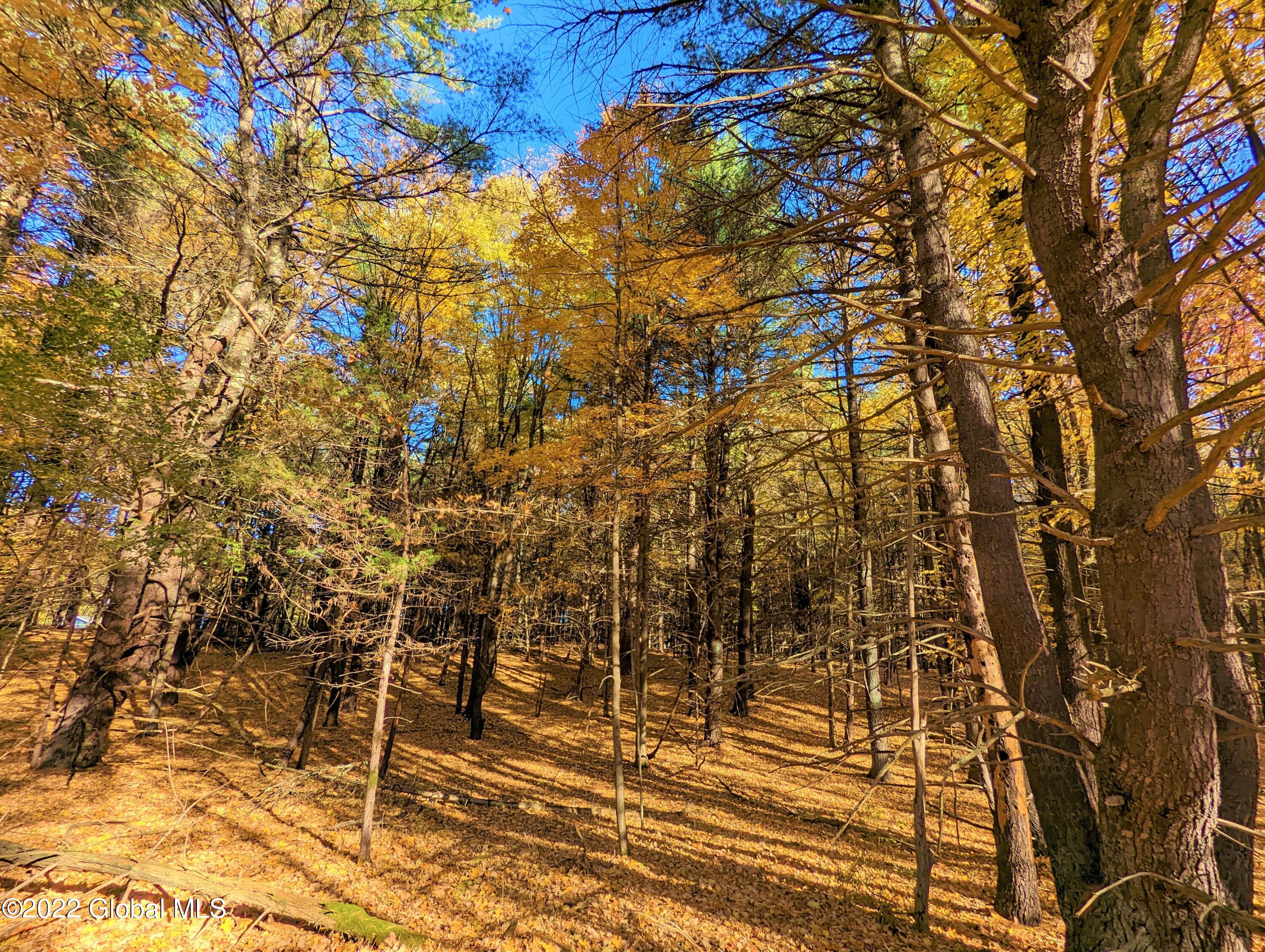 L10 Old Kings Road Hannacroix, NY 12087 - Photo 17 of 30 old kings