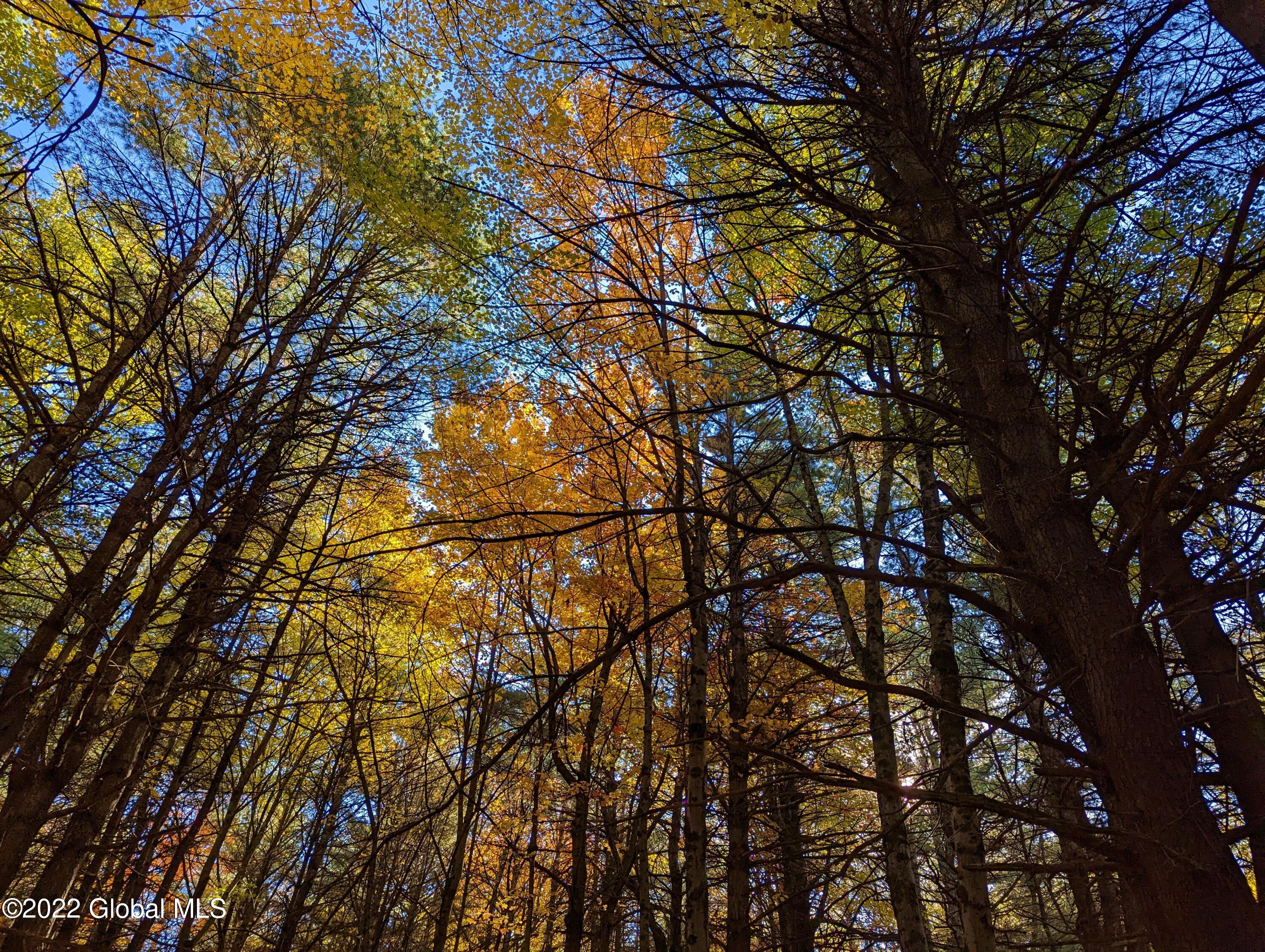 L10 Old Kings Road Hannacroix, NY 12087 - Photo 18 of 30 old kings