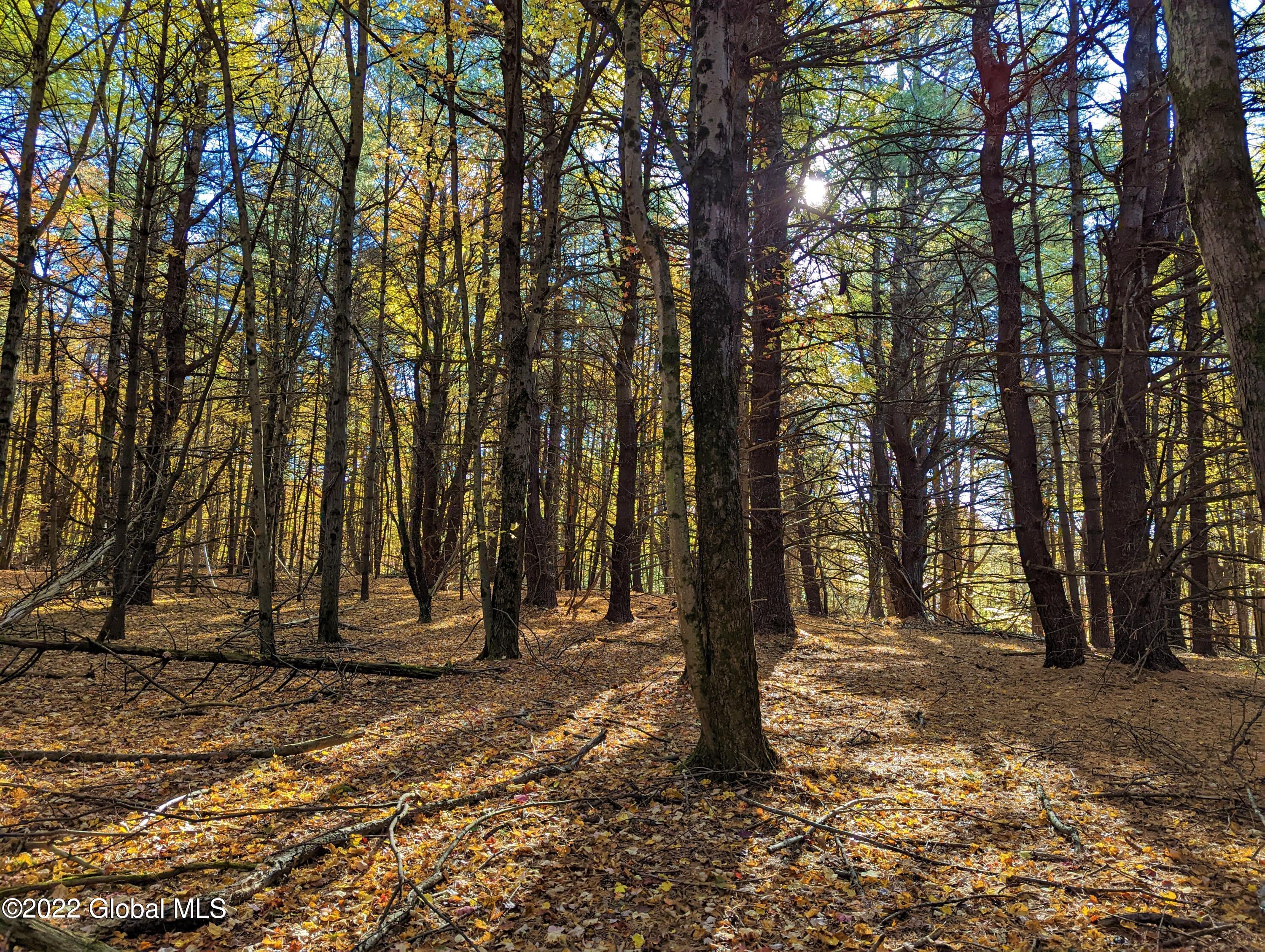 L10 Old Kings Road Hannacroix, NY 12087 - Photo 20 of 30 old kings