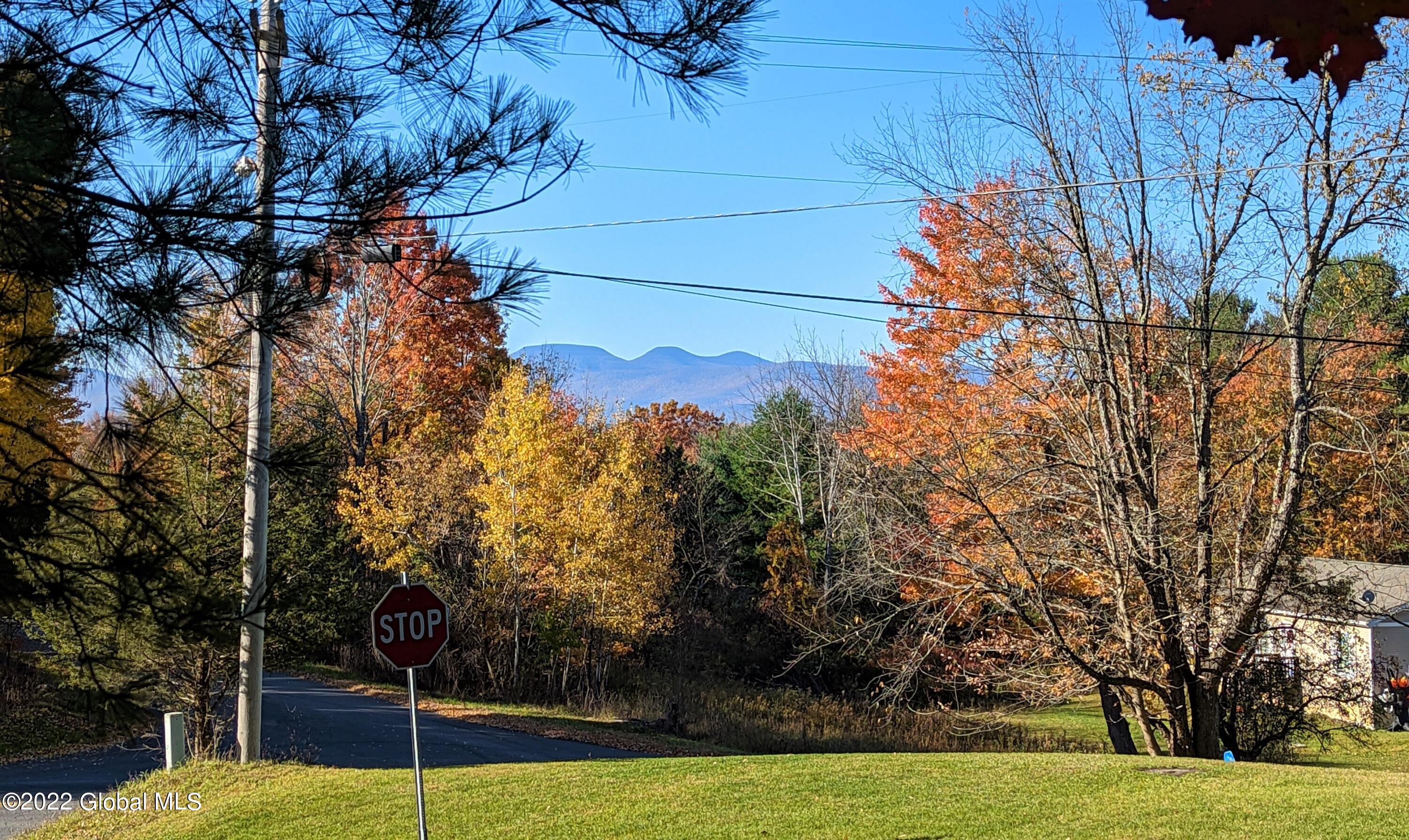 L10 Old Kings Road Hannacroix, NY 12087 - Photo 2 of 30 old kings