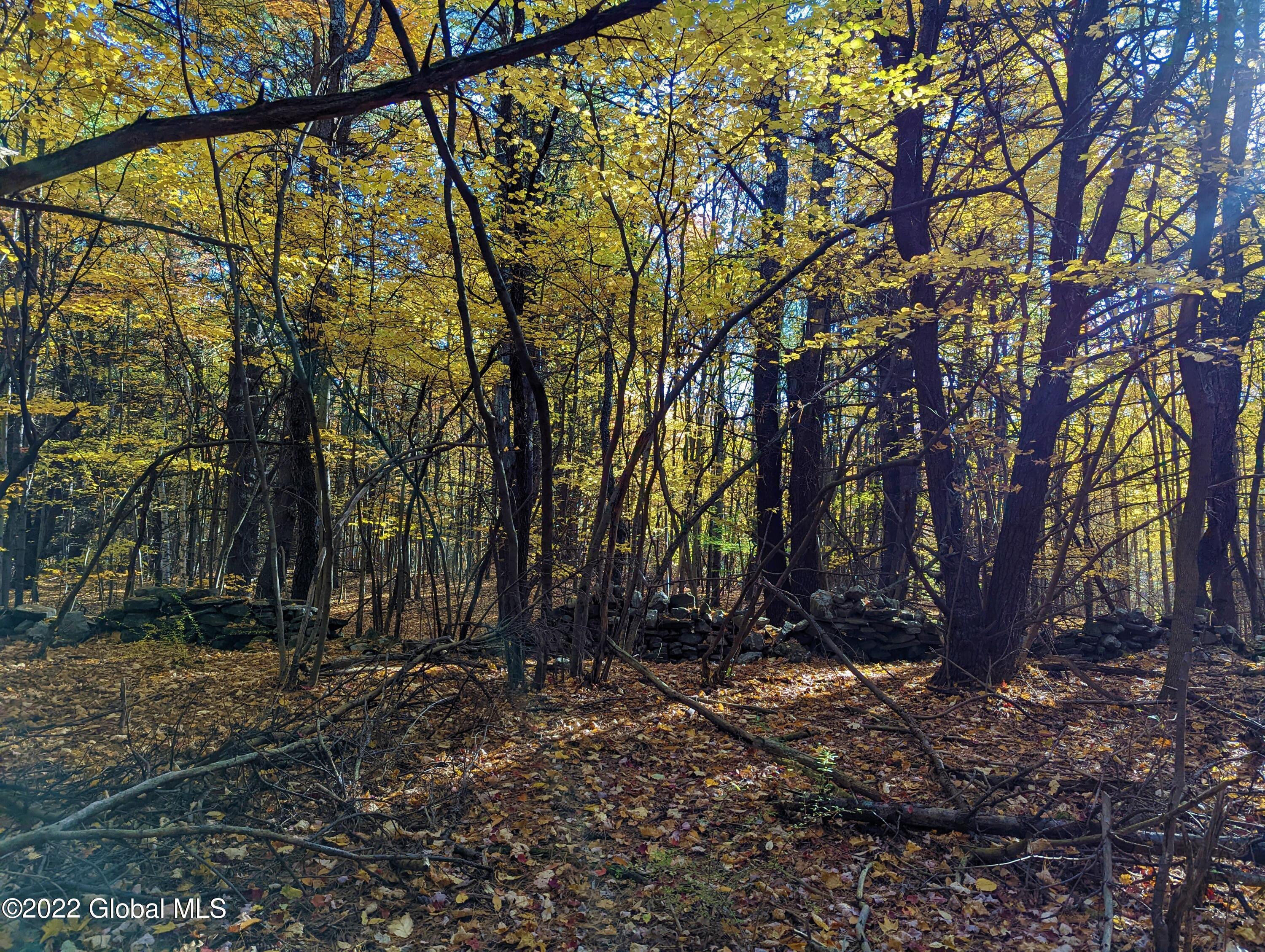 L10 Old Kings Road Hannacroix, NY 12087 - Photo 21 of 30 old kings