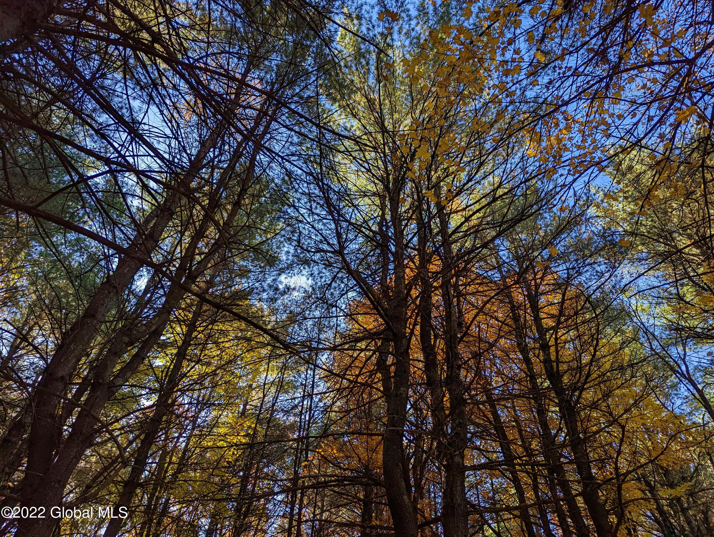 L10 Old Kings Road Hannacroix, NY 12087 - Photo 22 of 30 old kings