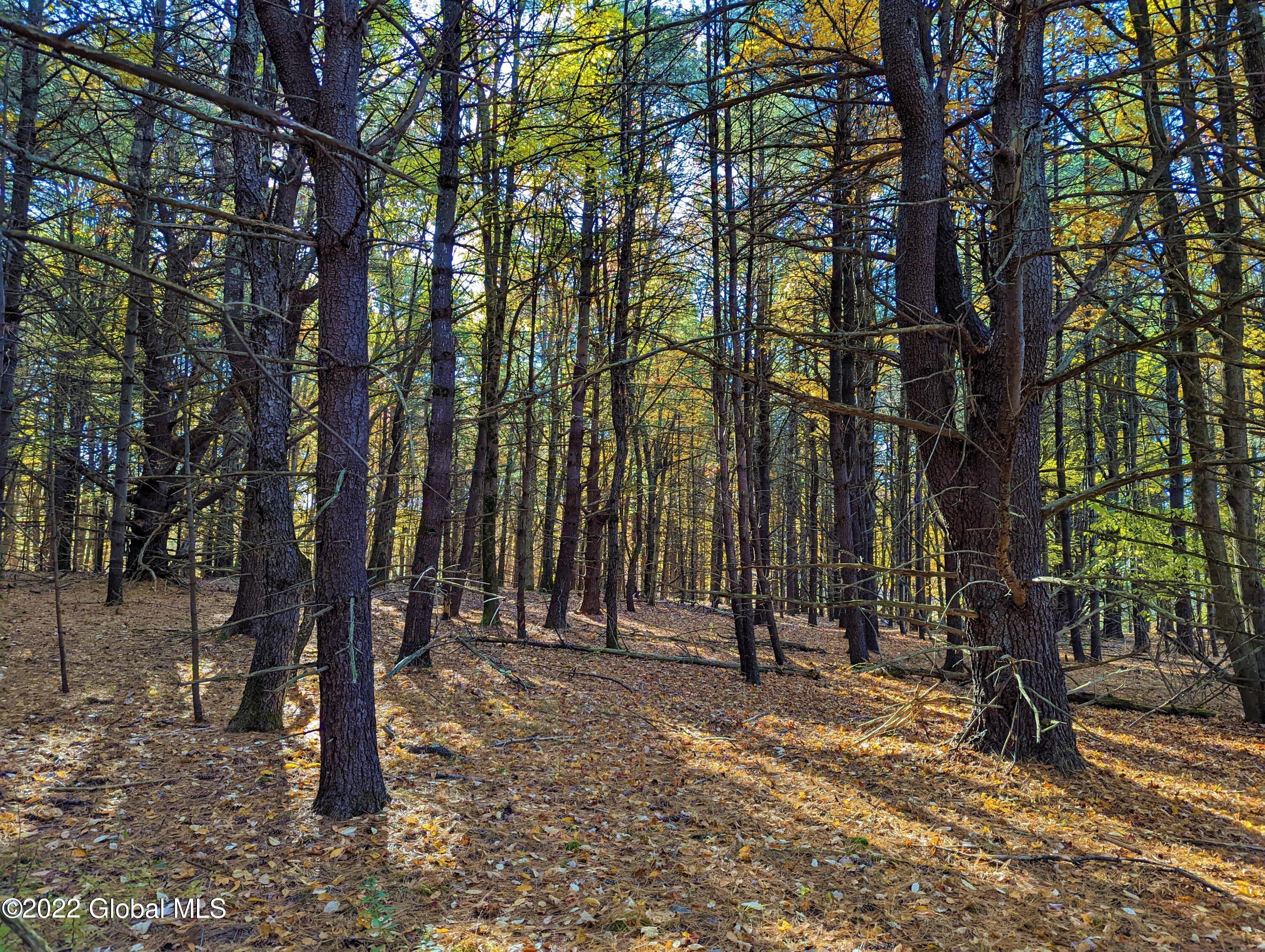 L10 Old Kings Road Hannacroix, NY 12087 - Photo 23 of 30 old kings