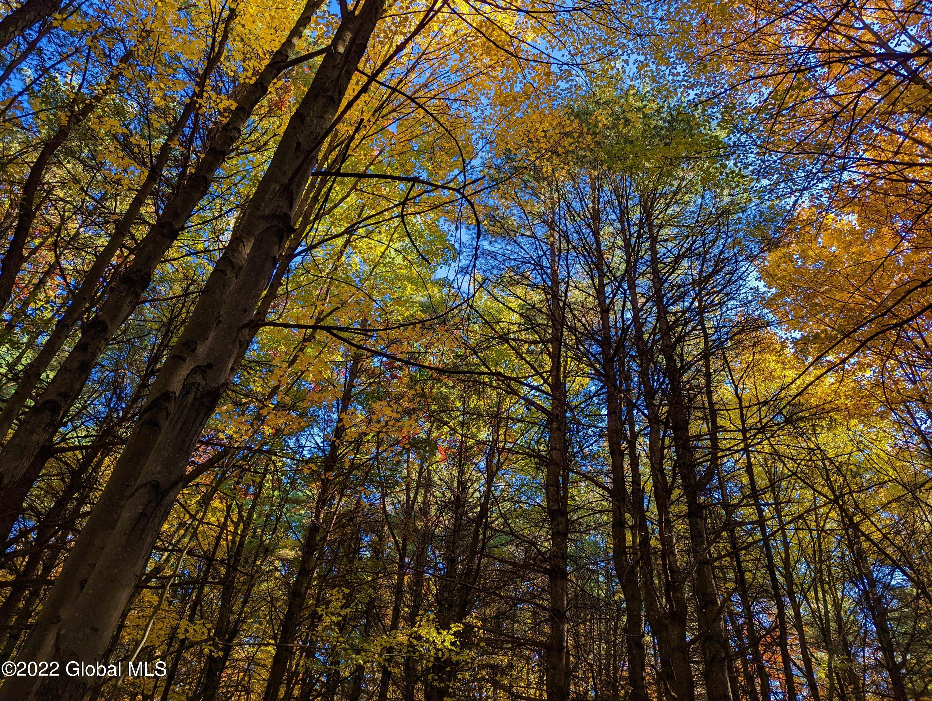 L10 Old Kings Road Hannacroix, NY 12087 - Photo 24 of 30 old kings
