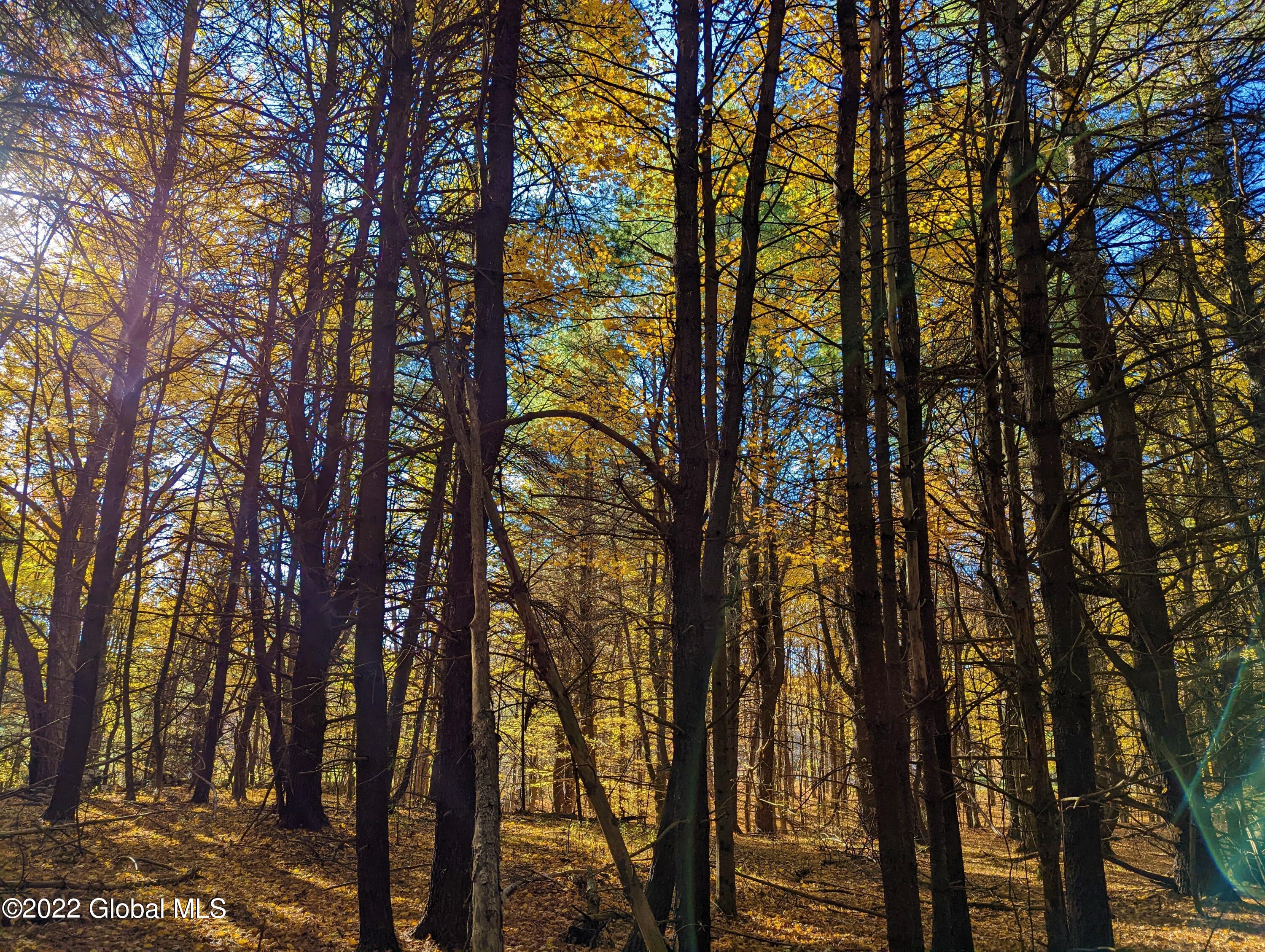 L10 Old Kings Road Hannacroix, NY 12087 - Photo 25 of 30 old kings