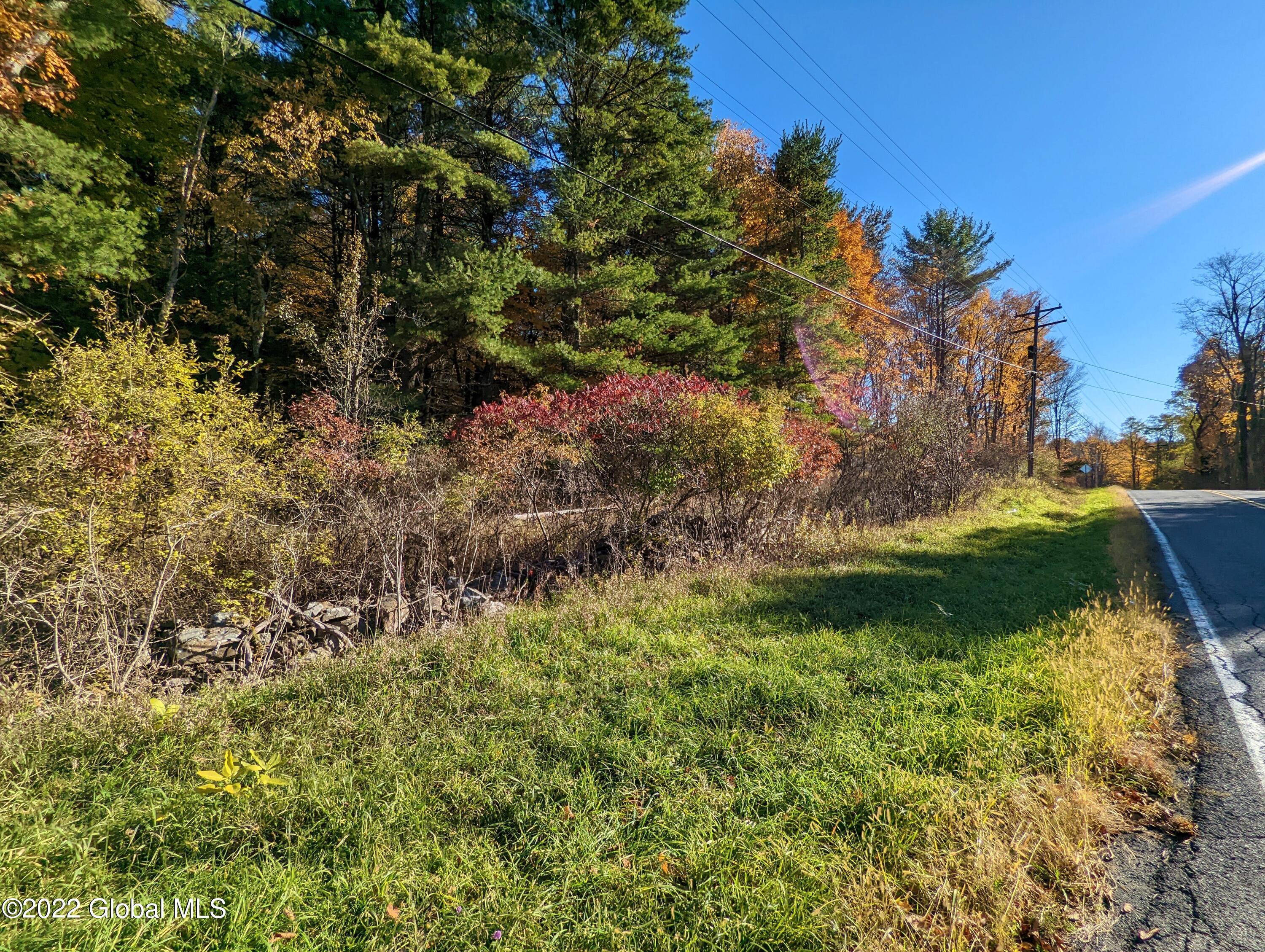 L10 Old Kings Road Hannacroix, NY 12087 - Photo 26 of 30 old kings