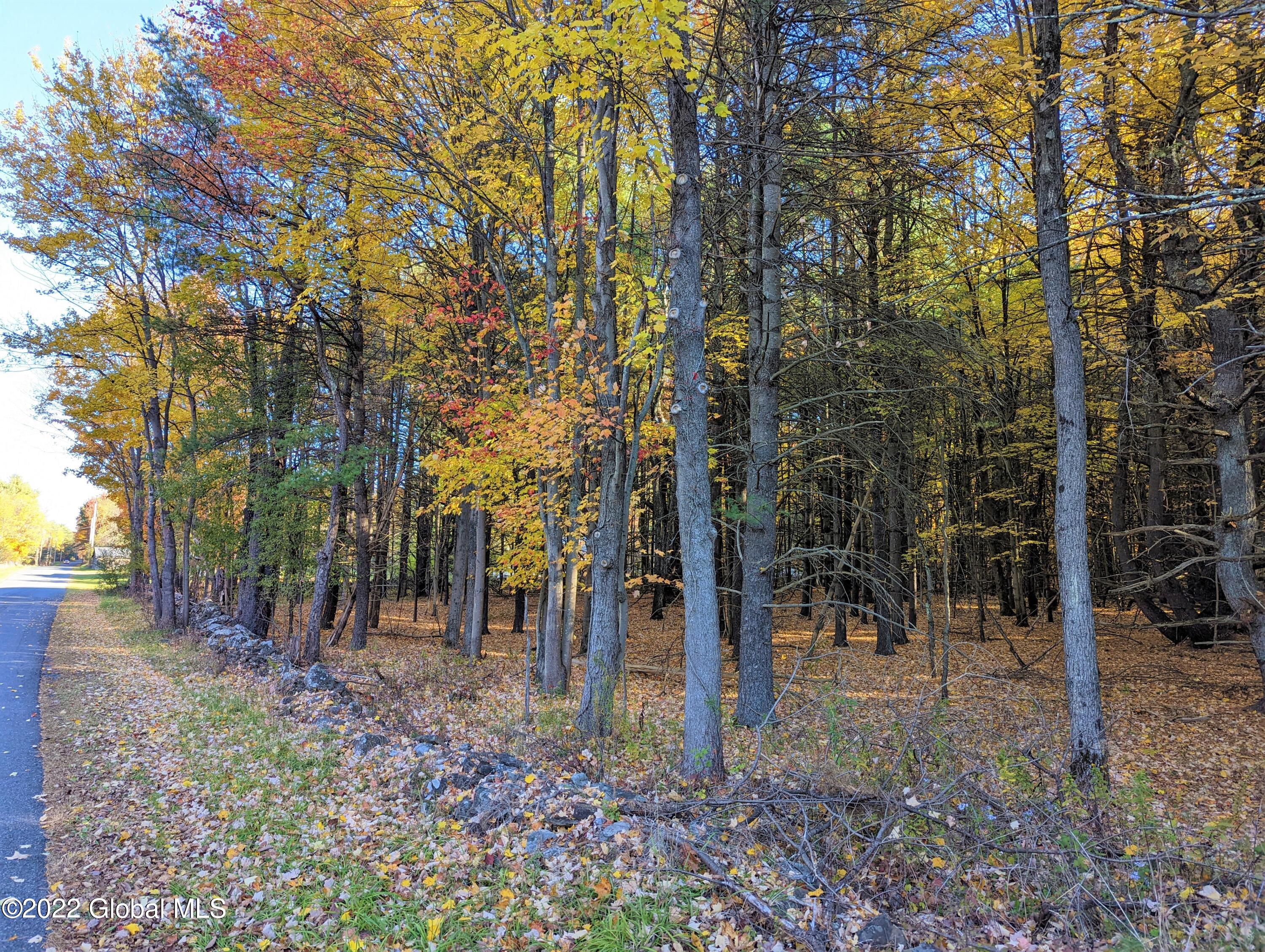 L10 Old Kings Road Hannacroix, NY 12087 - Photo 27 of 30 old kings