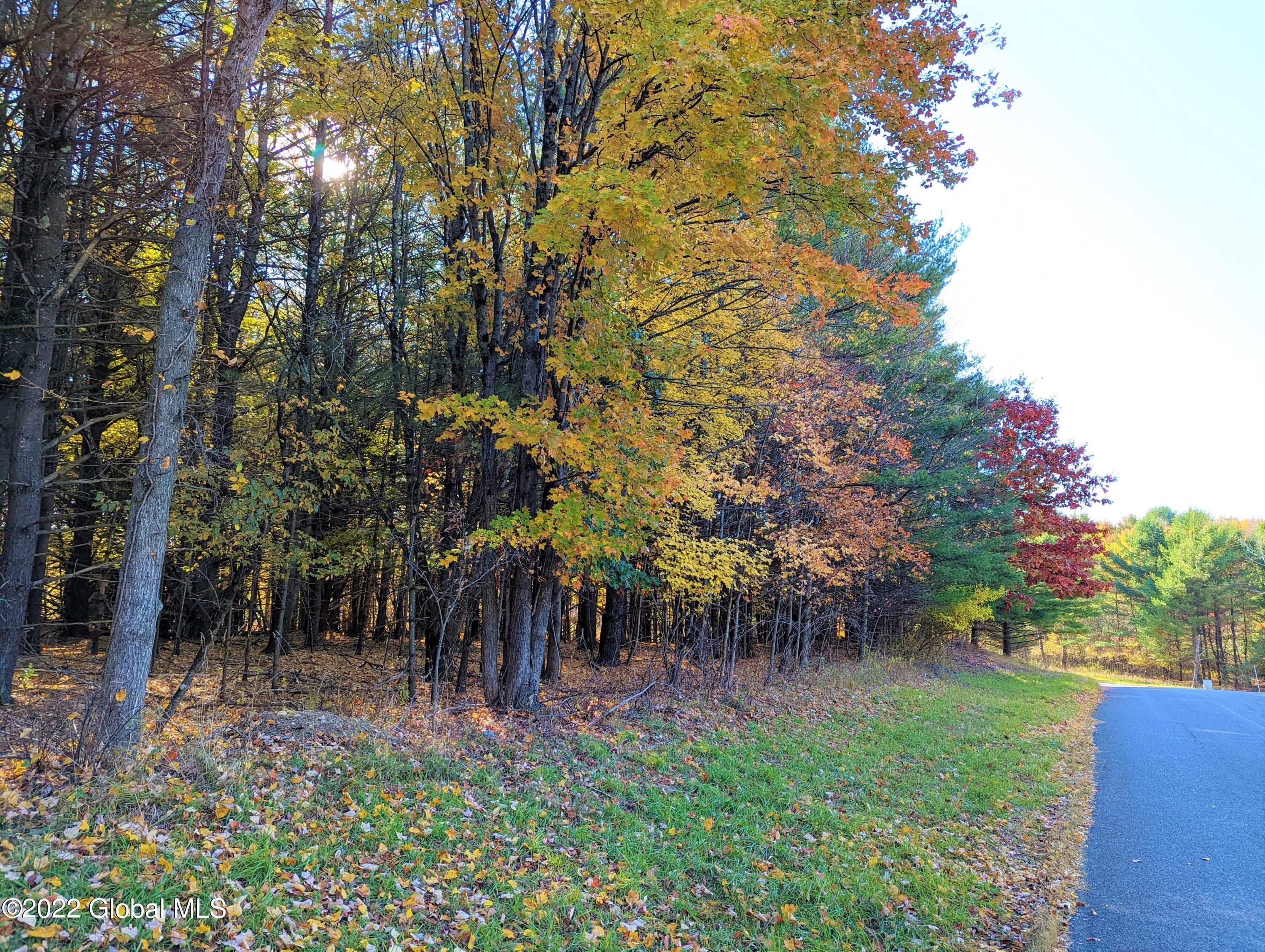 L10 Old Kings Road Hannacroix, NY 12087 - Photo 28 of 30 old kings