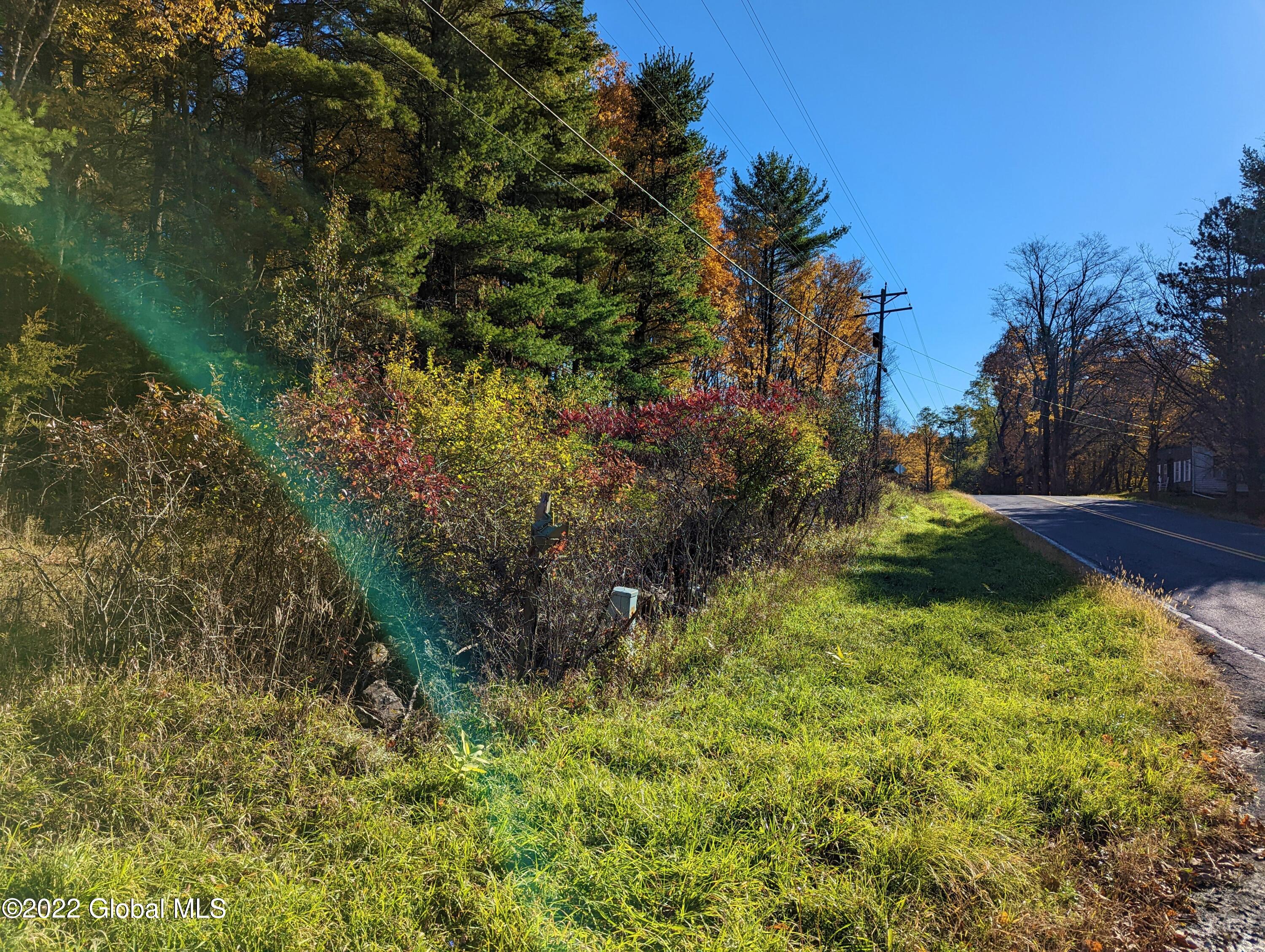 L10 Old Kings Road Hannacroix, NY 12087 - Photo 29 of 30 old kings