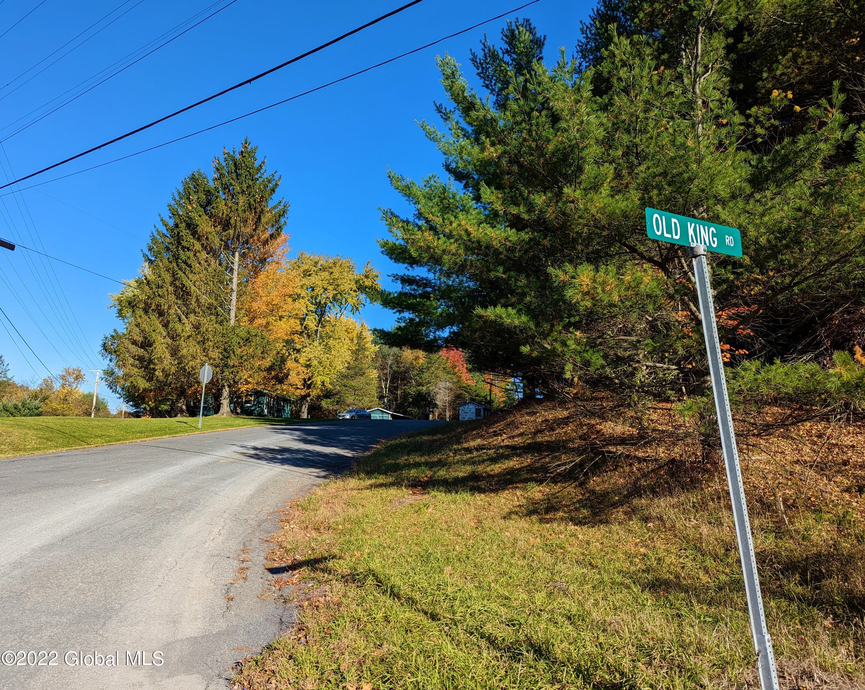 L10 Old Kings Road Hannacroix, NY 12087 - Photo 30 of 30 street sign view