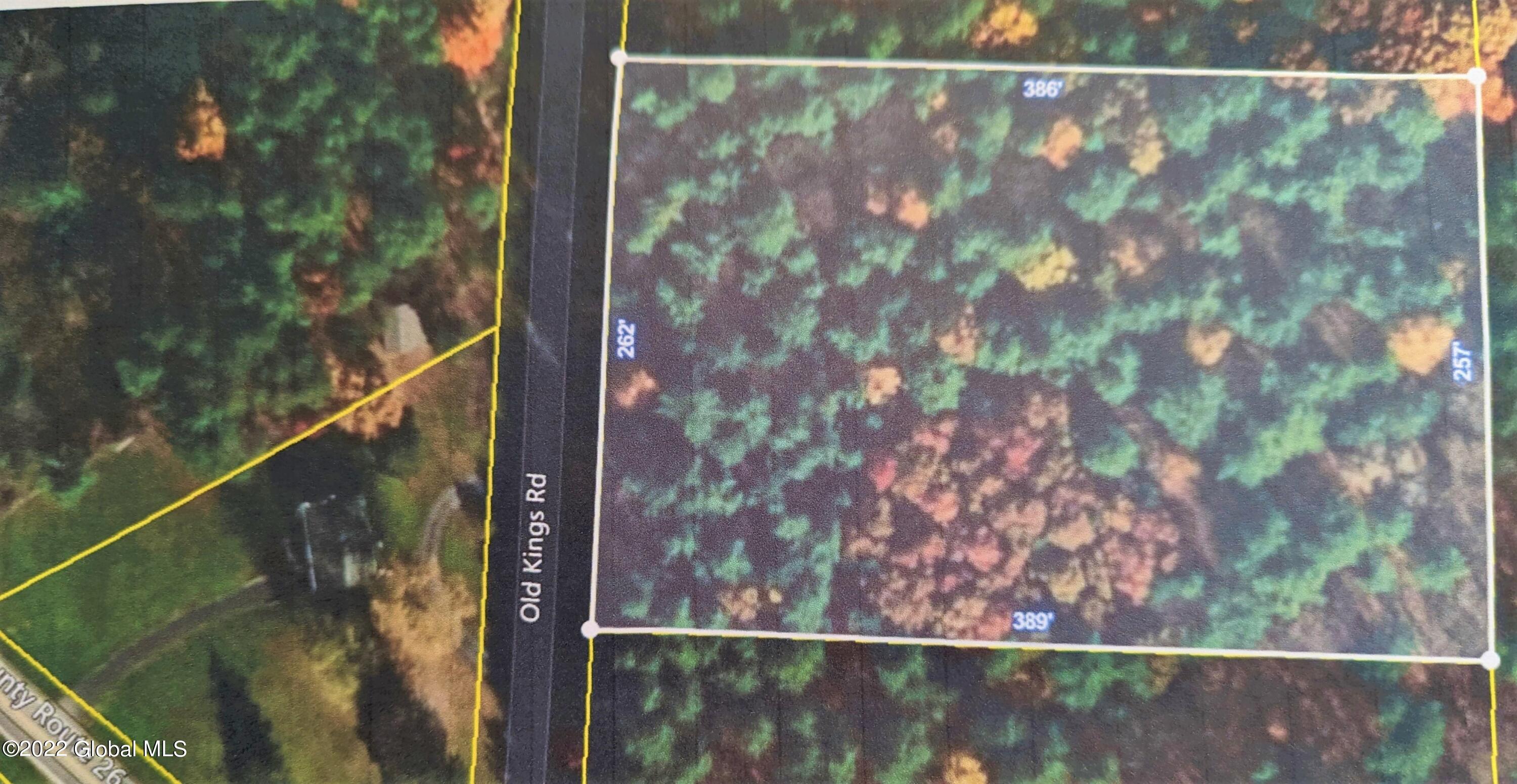 L10 Old Kings Road Hannacroix, NY 12087 - Photo 5 of 30 OLD KINGS