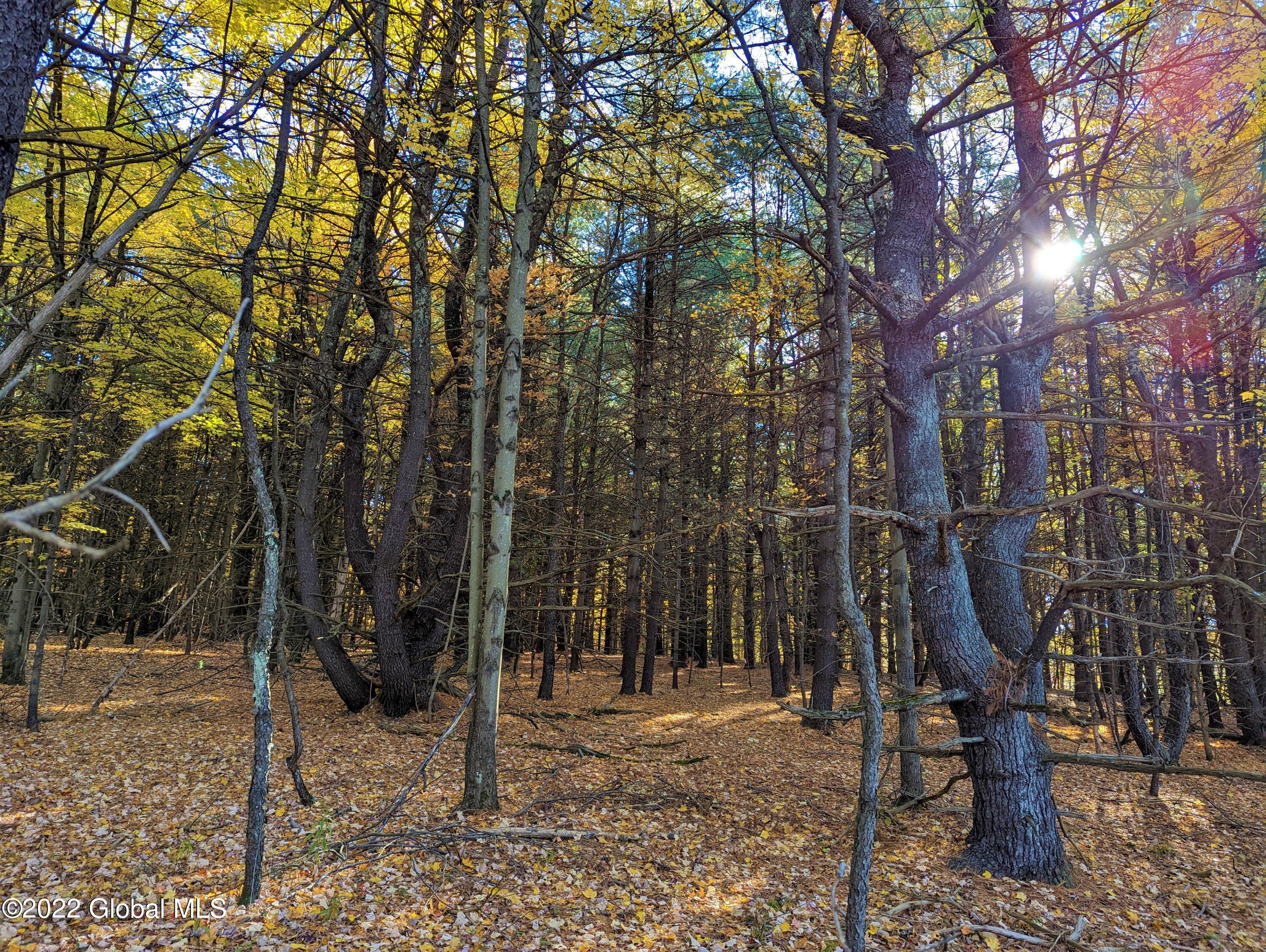 L10 Old Kings Road Hannacroix, NY 12087 - Photo 7 of 30 old kings