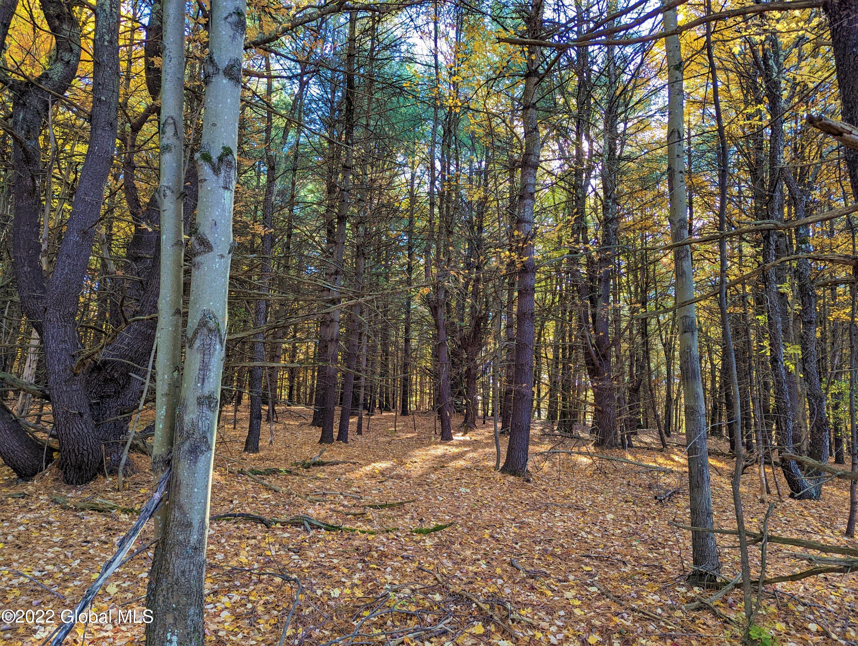 L10 Old Kings Road Hannacroix, NY 12087 - Photo 8 of 30 old kings