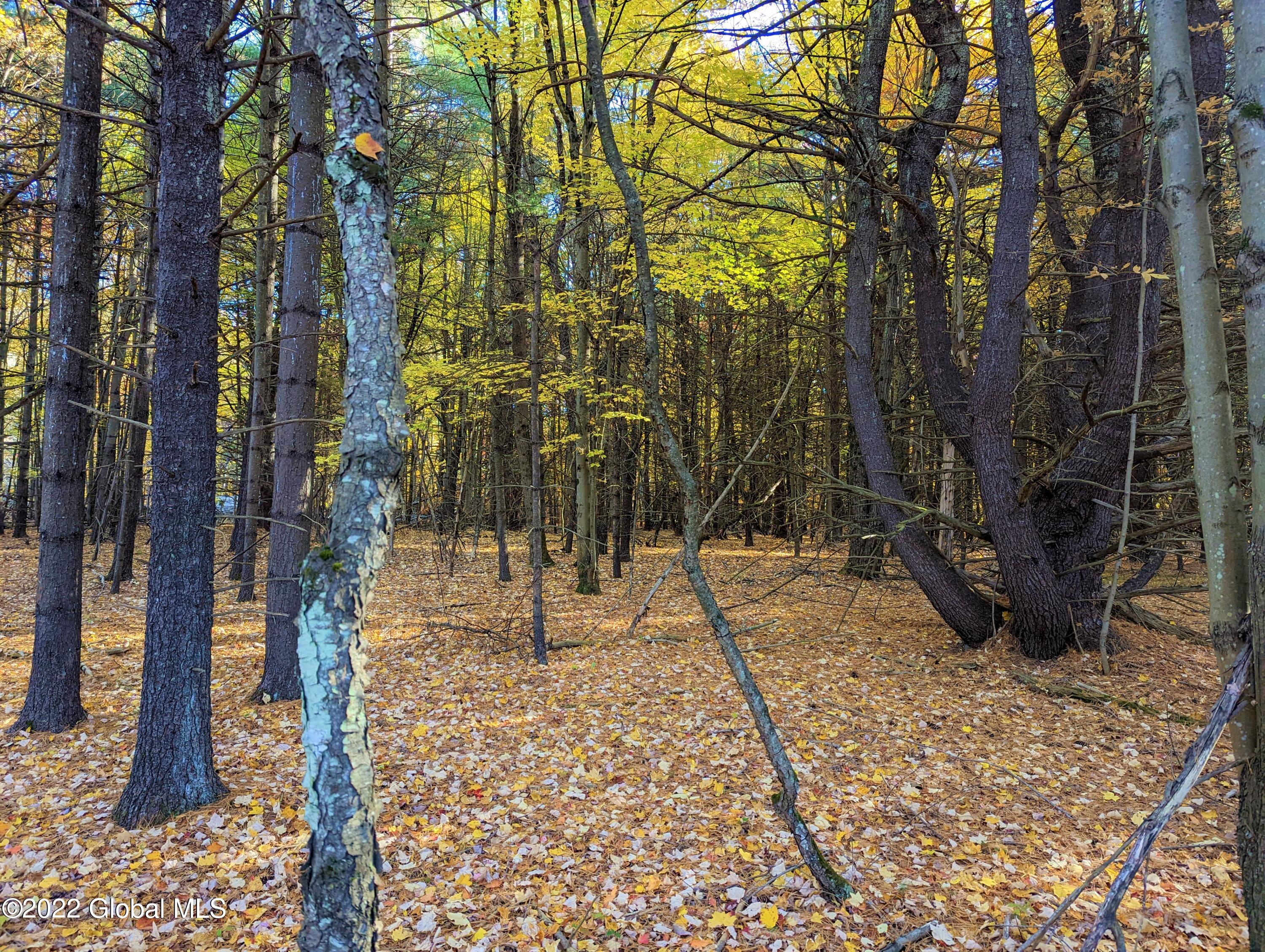 L10 Old Kings Road Hannacroix, NY 12087 - Photo 9 of 30 old kings