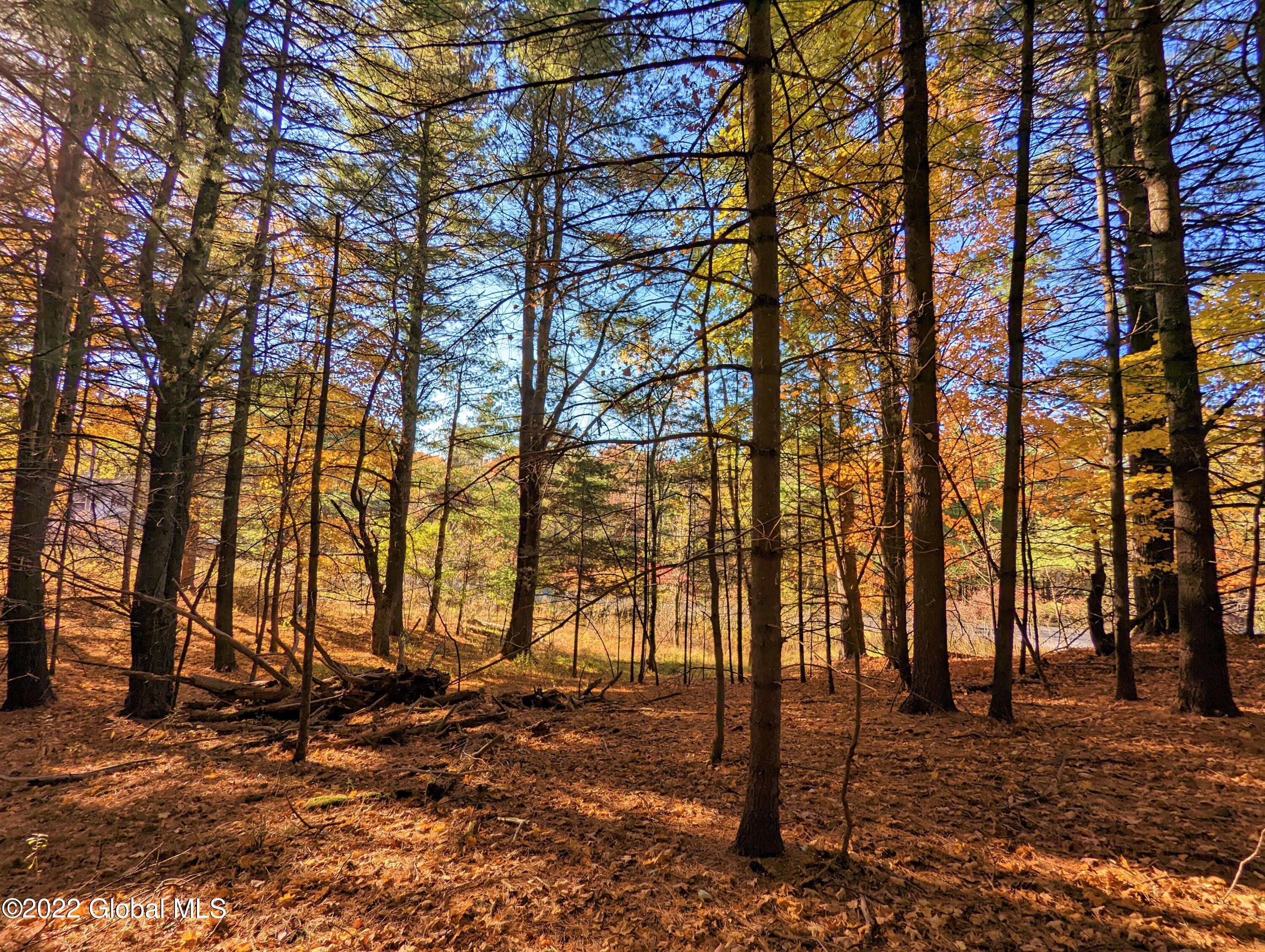 L10 Old Kings Road Hannacroix, NY 12087 - Photo 10 of 30 old kings