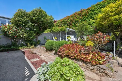 a view of a garden with plants and large trees
