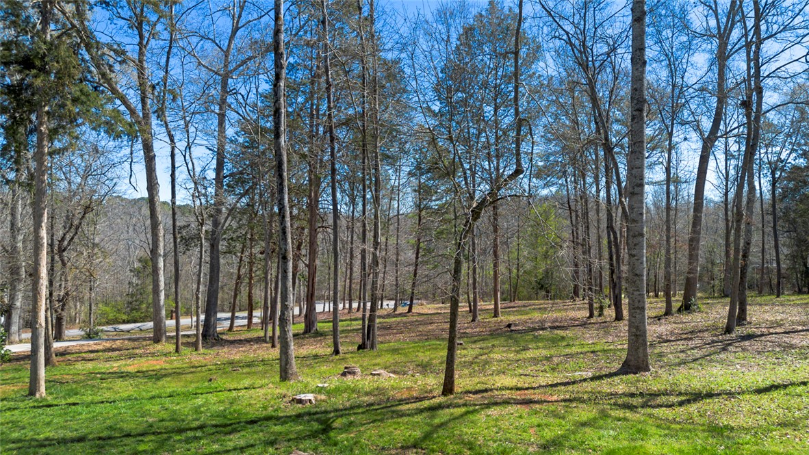 102 Misty Oaks Lane Pendleton, SC 29670 - Photo 23 of 26