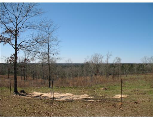 20 Coon Hunter Road Perkinston, MS 39573 - Photo 16 of 16 Additional Photo