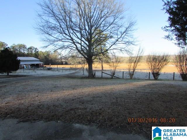 656 Tucker Road Odenville, AL 35120 - Photo 19 of 20