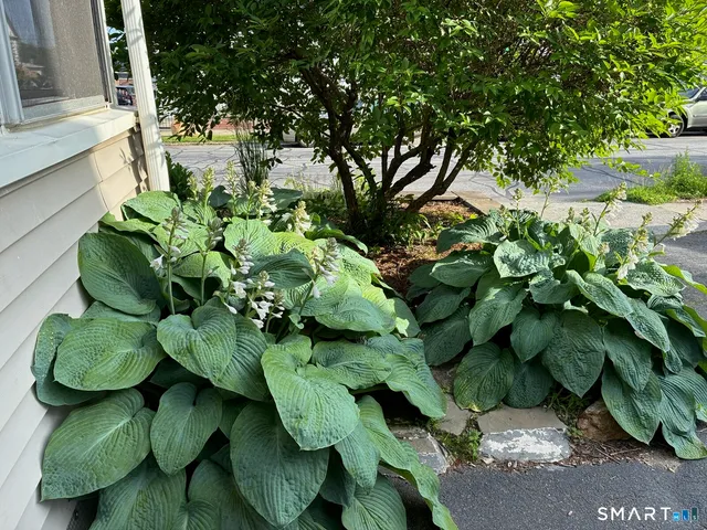 $399,900 | 287 Hansen Avenue, Bridgeport, CT 06605