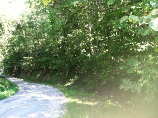 2004 Colbert Hollow Road Cornersville, TN 37047 - Photo 3 of 6 View of property from road on right