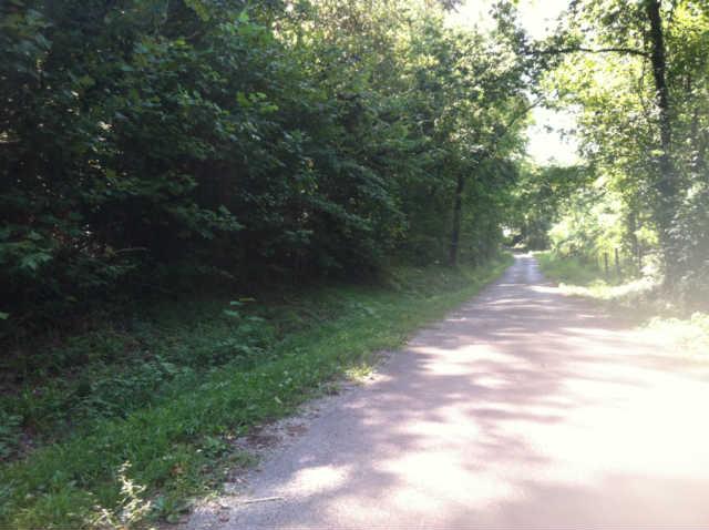 2004 Colbert Hollow Road Cornersville, TN 37047 - Photo 5 of 6 Viwe of road frontage with property on left