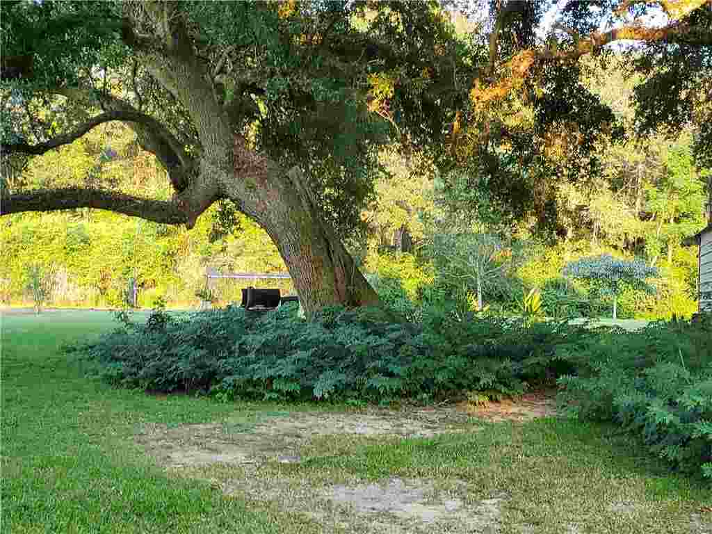 16107 Jeff Bankston Road Amite, LA 70422 - Photo 18 of 24 Gallery Image 18