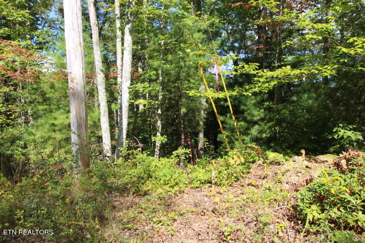 Lot 6 Taylors Ridge( Journeys End) Road Walland, TN 37886 - Photo 11 of 18 Lot 6 Taylors Ridge