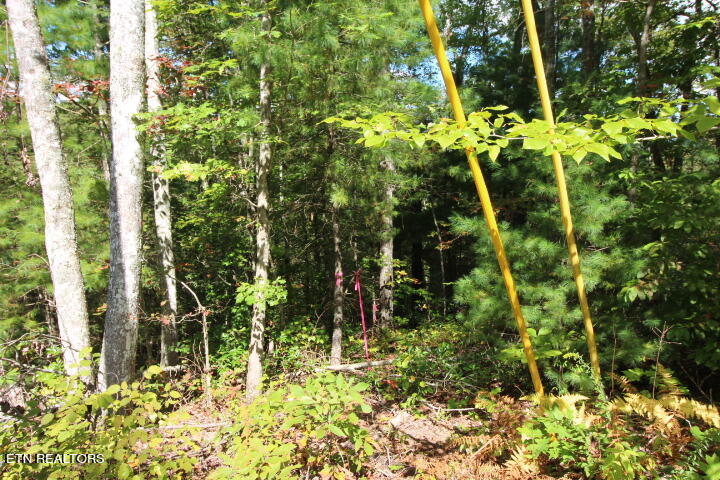 Lot 6 Taylors Ridge( Journeys End) Road Walland, TN 37886 - Photo 12 of 18 Lot 6 Journeys End