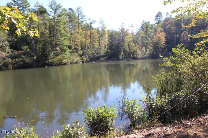 Lot 6 Taylors Ridge( Journeys End) Road Walland, TN 37886 - Photo 15 of 18 Saddle Ridge 001