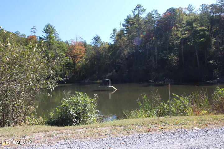 Lot 6 Taylors Ridge( Journeys End) Road Walland, TN 37886 - Photo 18 of 18 Saddle Ridge 004
