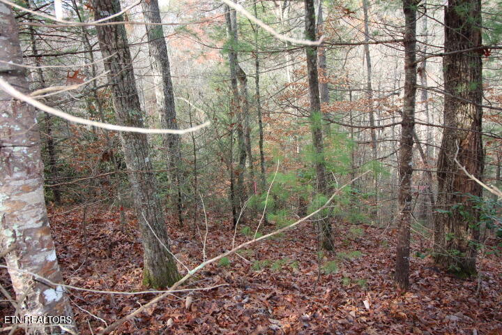 Lot 6 Taylors Ridge( Journeys End) Road Walland, TN 37886 - Photo 3 of 18 SaddleRidge 041