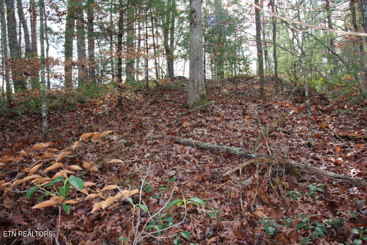 Lot 6 Taylors Ridge( Journeys End) Road Walland, TN 37886 - Photo 4 of 18 SaddleRidge 040