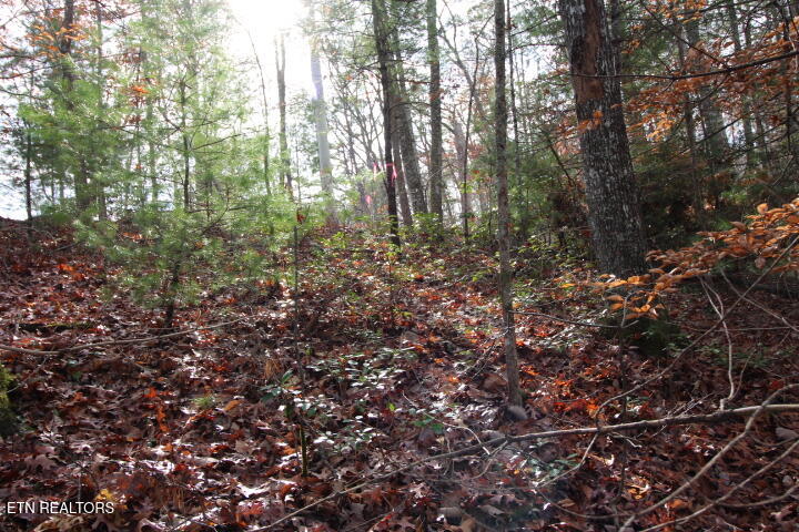 Lot 6 Taylors Ridge( Journeys End) Road Walland, TN 37886 - Photo 7 of 18 SaddleRidge 042